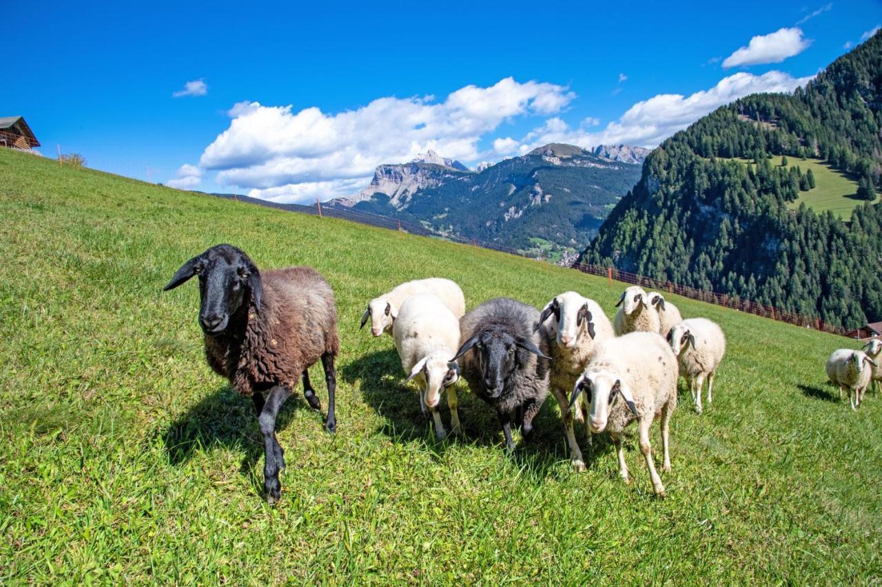 Agriturismo Apartments Tuene Ortisei Bagian luar foto