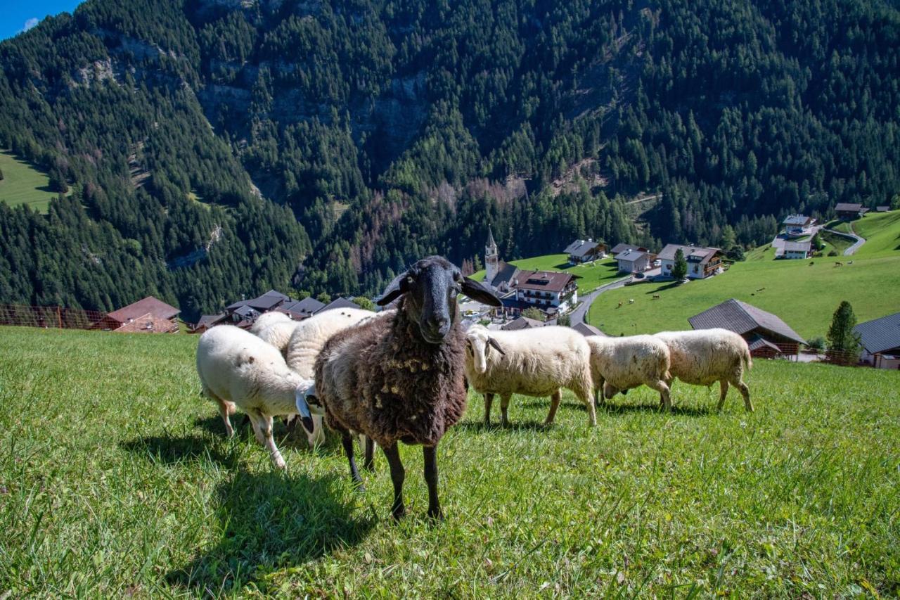 Agriturismo Apartments Tuene Ortisei Bagian luar foto