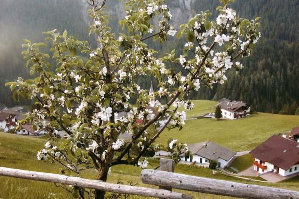 Agriturismo Apartments Tuene Ortisei Bagian luar foto
